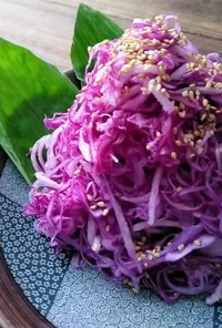 紫キャベツ　大根　春雨　塩麹でナムル