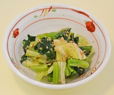 春キャベツと小松菜のごまポン酢和えの写真