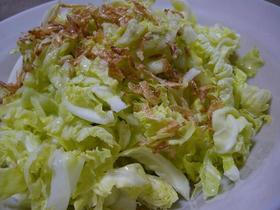 春キャベツのまろやか酢の物