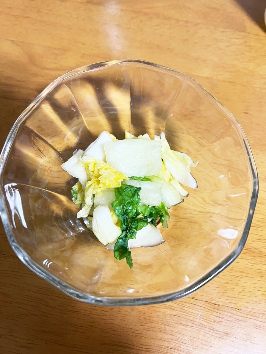 白菜で簡単漬物の画像