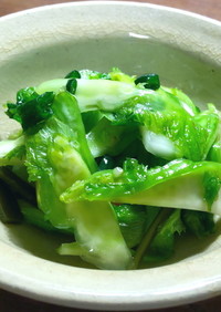 蕾菜の浅漬け　からし菜の風味と搾菜の食感