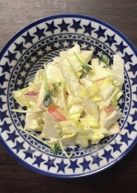 【甘塩っぱい♪】冬にりんごと白菜のサラダ