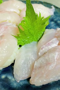 北海道【ハッカク】握り寿司とお刺身