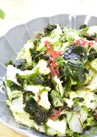 白菜と海藻のチョレギサラダ