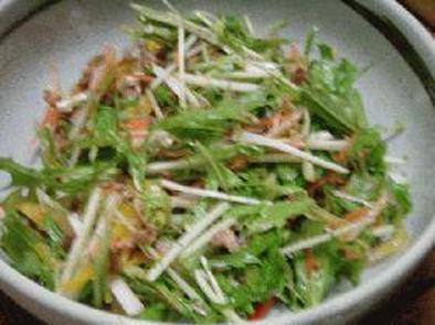 水菜サラダの写真
