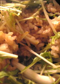 水菜とヤマブシタケの卵ご飯