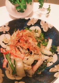 簡単すぎる　白菜と春菊の和風サラダ