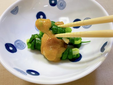 熊本♡人文字ぐるぐる・青ねぎの酢味噌かけの写真