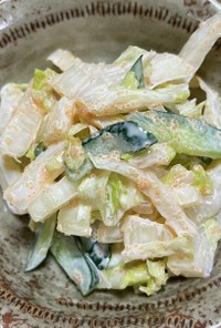 白菜と明太子のサラダ