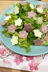 可愛い✤お花サラダ