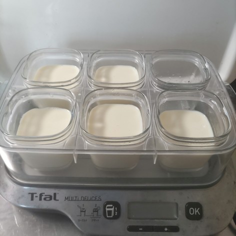 豆乳ヨーグルト　ガラスの保温器