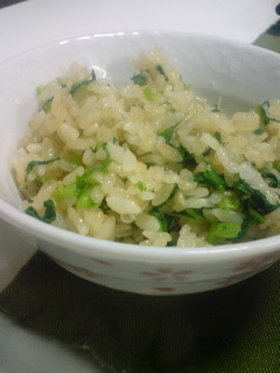 ウチの菜ご飯