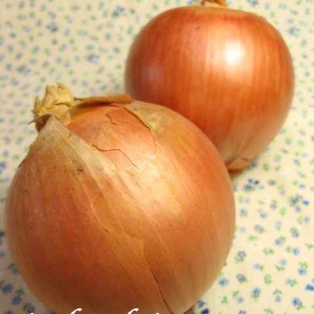 玉ねぎの皮が 簡単にむける方法 レシピ 作り方 By 腹ペコ助 クックパッド 簡単おいしいみんなのレシピが353万品 玉ねぎの皮が 簡単にむける方法 レシピ 作り方 By 腹ペコ助 クックパッド 簡単おいしいみんなのレシピが353万品