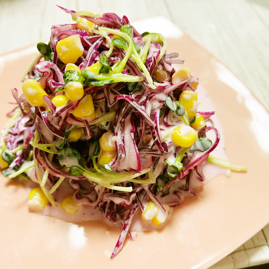 紫キャベツと貝割れのコールスローサラダ by セイル・オン 【クックパッド】 簡単おいしいみんなのレシピが394万品