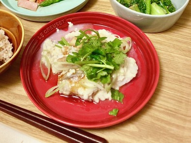 白身魚と豆腐の胡麻油がけの写真