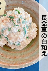 沖縄伝統島野菜『長命草』の白和え