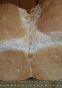 トースト用フランス食パン
