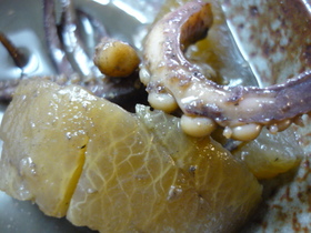イカと大根の煮物