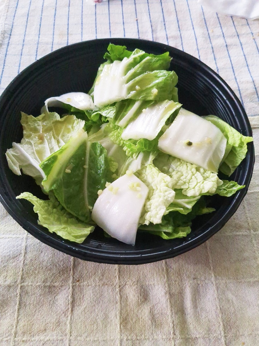 毒舌サラダ【白菜】の画像