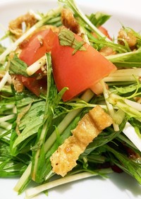簡単黒酢と水菜のじゃこサラダ
