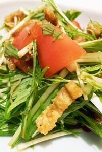 簡単黒酢と水菜のじゃこサラダ