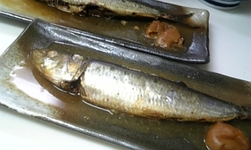 いわしorアジの梅煮