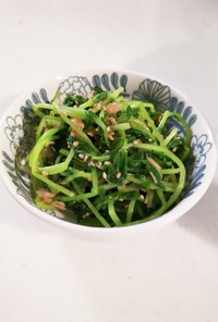 豆苗ツナサラダ　副菜