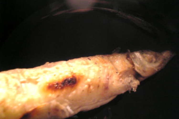 キスの塩焼き レシピ 作り方 By Rosenkranz クックパッド 簡単おいしいみんなのレシピが378万品