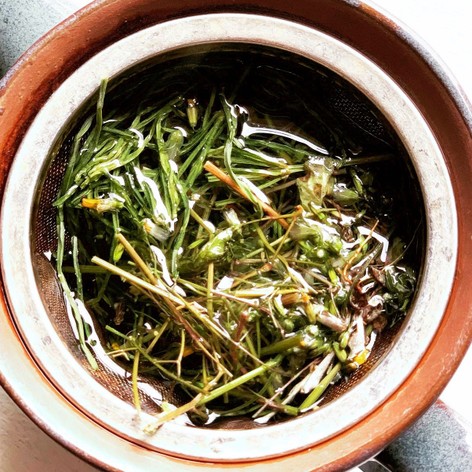 スギナとオニタビラコの野草緑茶