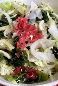 大根キャベツと海藻のサラダ