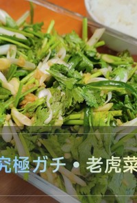 ガチ中華・老虎菜（ラオフーツァイ）