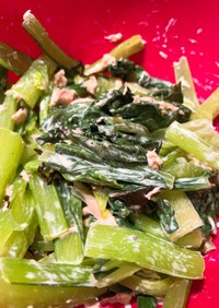 小松菜とツナの塩昆布サラダ