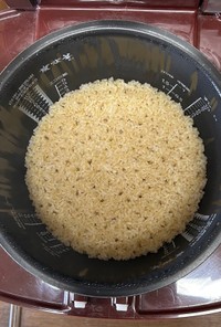 覚書・玄米ご飯（水分少なめ）