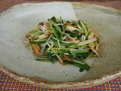 【骨を丈夫にする】水菜とアミエビの中華炒の写真