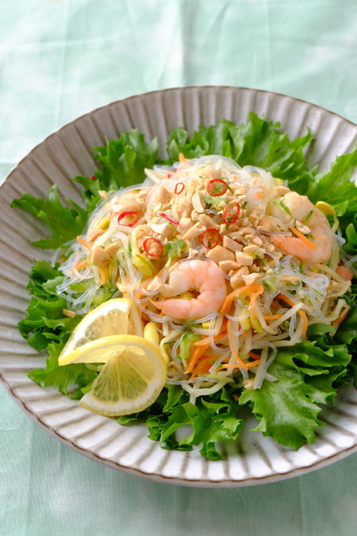 〈くらし薬膳〉春雨のベトナム風サラダの写真
