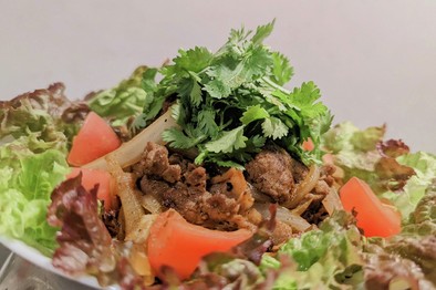 ケバブ風ラム肉のソテーとパクチーのサラダの写真
