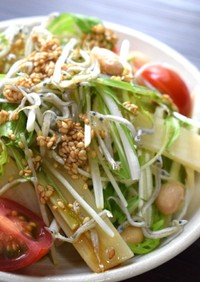 【給食】筍と水菜のシャキシャキサラダ