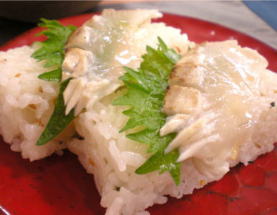 真鯛の炙り押し寿司の写真