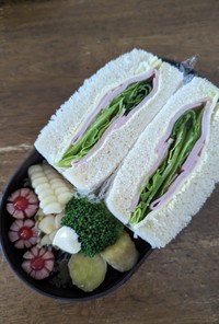 JK☆ハム＆レタスのサンドイッチ弁当♪