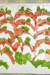 フレッシュ・モッツァレラとトマトのサラダ