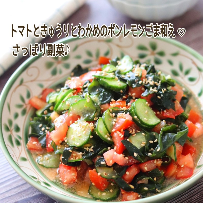 塩蔵わかめ9キロ その他 加工食品