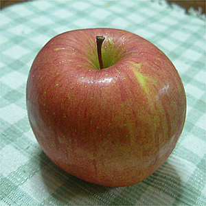 丸かじりりんごを食べやすく☆の画像
