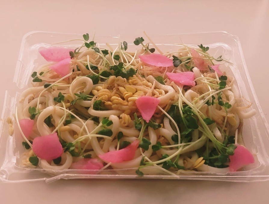 «豆もやし貝割れ大根桜漬サラダうどん»の画像