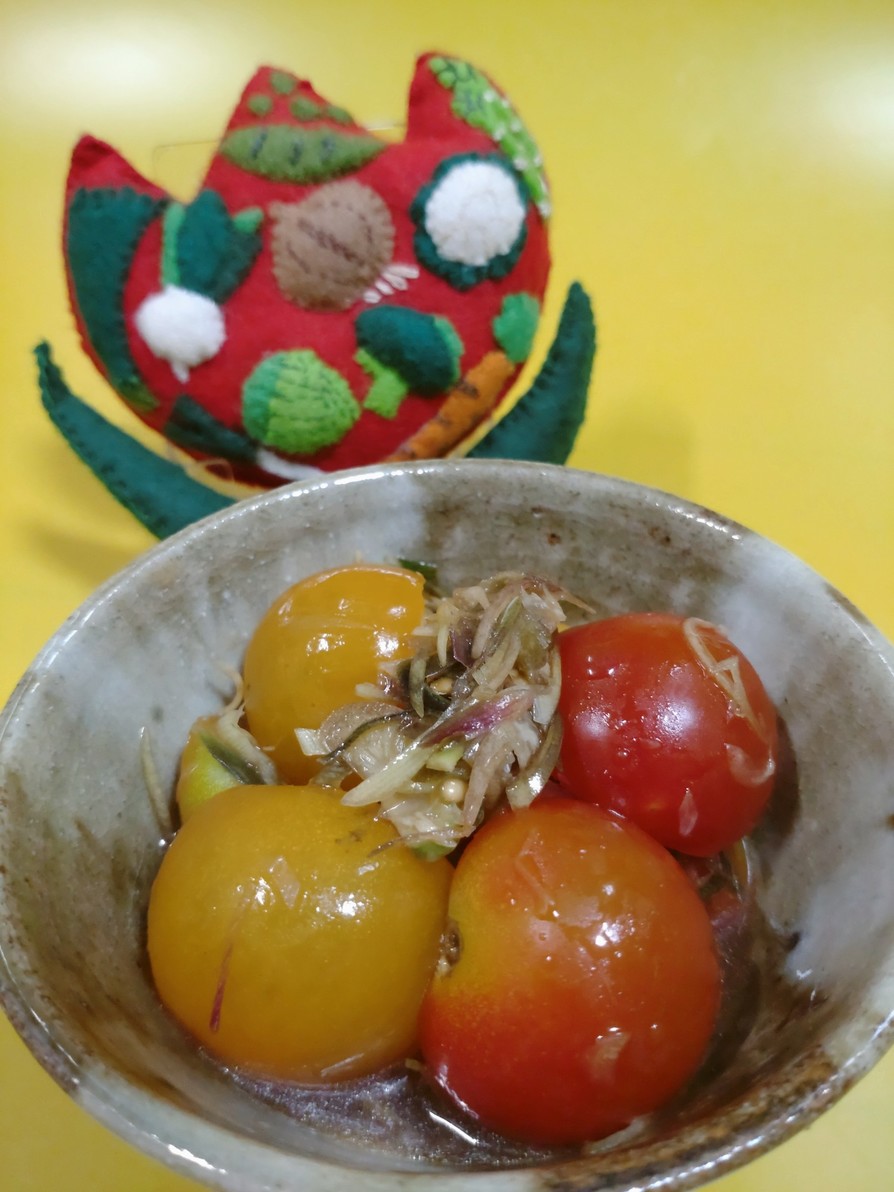 ミニトマトとみょうがのぽん酢和えの画像