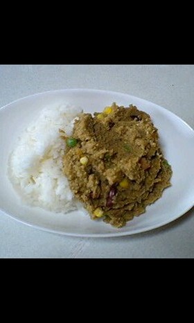 簡単Θ豆Θおからドライカレー★