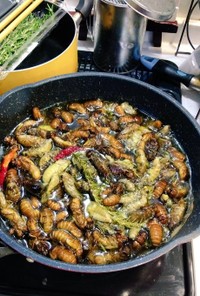 タケオオツクツクのオリーブオイル煮