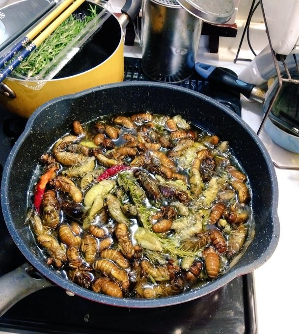 タケオオツクツクのオリーブオイル煮の画像