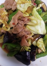 夏野菜と豚肉のピリ辛炒め