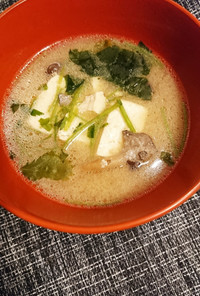 ヒラタケとお豆腐味噌汁