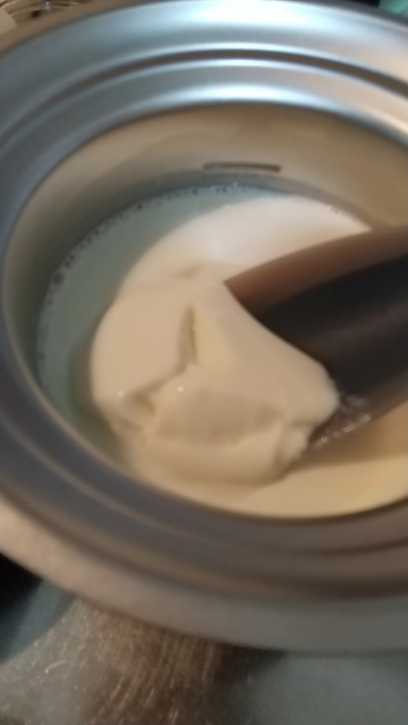 豆乳と牛乳で自家製ヨーグルトの画像